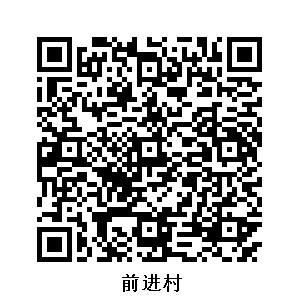 前進(jìn)村