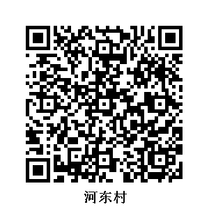 河?xùn)|村