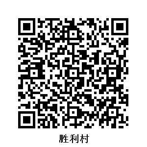 勝利村