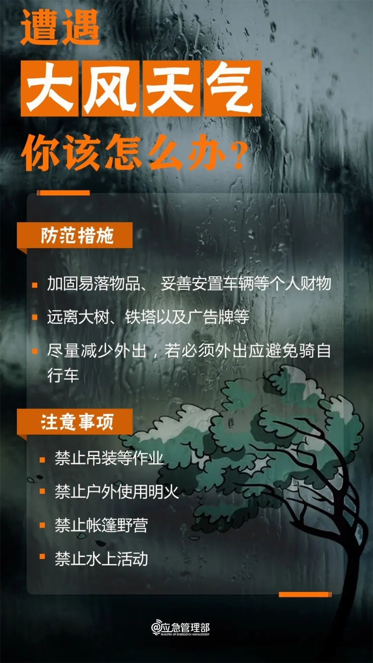 20250411-4.webp.jpg