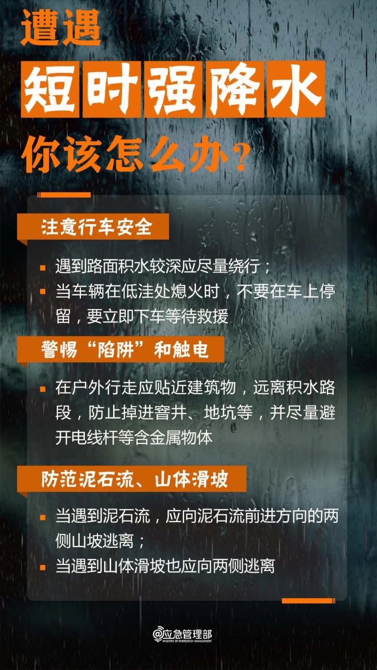 20250411-2.webp.jpg