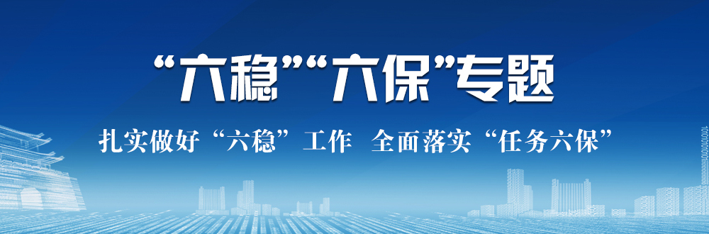 六穩六保專題